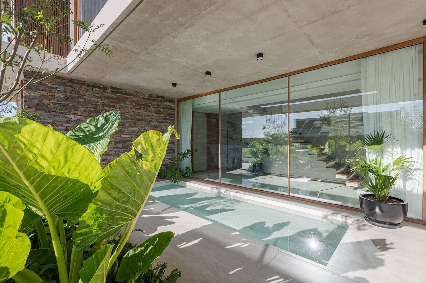 Interior courtyard with tropical planting between glass panes