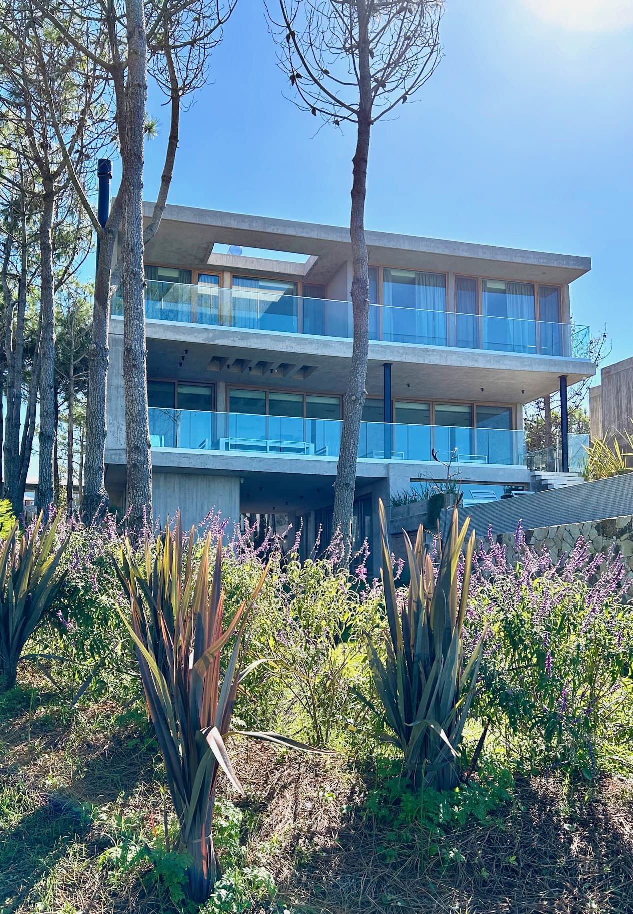 Casa Almar - Bavio Arquitectos